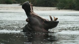 6 Night Safari from South to North Kruger | South Kruger Park Accommodation