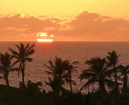4 Night Mozambique Tropical Tour