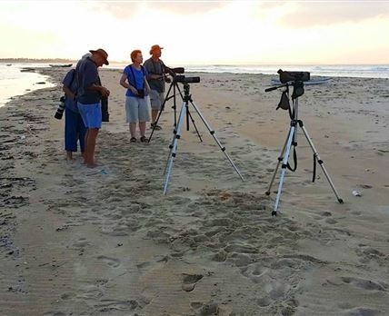 6 Night Birding and Photographic Tour