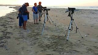 6 Night Birding and Photographic Tour | Accommodation Coconut Bay
