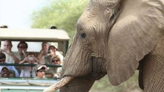 6 Night Kruger Park and Mozambique Safari Tour | Accommodation South Kruger Park