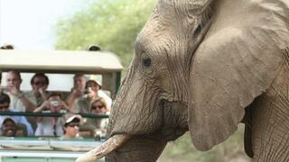 6 Night Kruger Park and Mozambique Safari Tour | Accommodation South Kruger Park