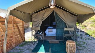 Namaqua Flowers Beach Camp | Accommodation Namaqua National Park