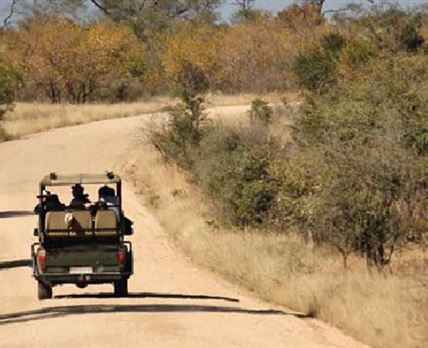3 Day Kruger Experience Lodge-Treehouse