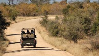 3 Day Kruger Experience Lodge-Treehouse | Balule Nature Reserve Accommodation