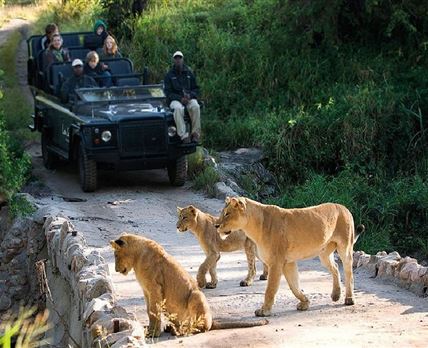 2 Night Safari Package at Skukuza Rest Camp Kruger National Park SANParks