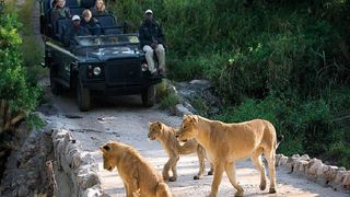 2 Night Safari Package at Skukuza Rest Camp Kruger National Park SANParks | Accommodation Skukuza