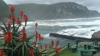 2 Nights at Storms River Mouth Rest Camp Garden Route National Park SANParks | Storms River Mouth Accommodation