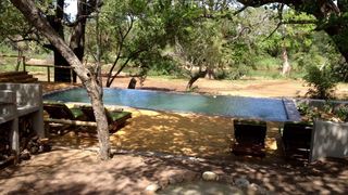 Rukiya Safari Camp | Accommodation Hoedspruit