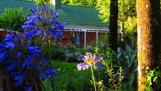 Woodlands Retreat | Clarens Accommodation