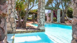 De Ware Jacob | South Africa Specials