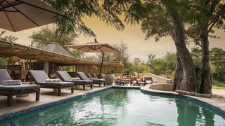 Amani Safari Camp | Klaserie Private Nature Reserve Accommodation