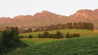 Modderkloof Farm Accommodation | Accommodation Paarl