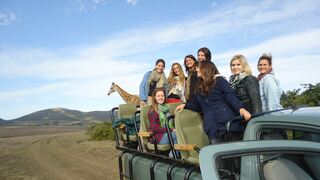 2 Day Weekend Wildlife Safari | Accommodation Cape Town