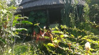 Cuckooland Tented Lodge | Accommodation Bwindi Impenetrable National Park