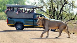 2 Night, 3 Day Tented Lodge Kruger Safari | Accommodation Hoedspruit