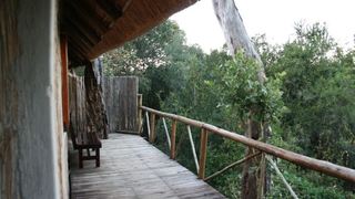 3 Night, 4 Day Marc's Treehouse Kruger Safari | Accommodation Hoedspruit