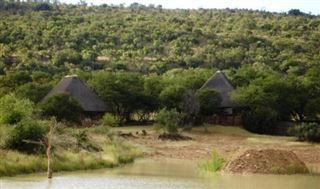 Koshari Game Ranch | Vaalwater Self-catering