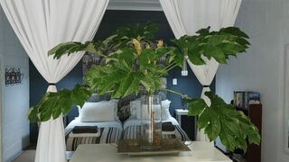 Aloe Cottages | Africa Specials