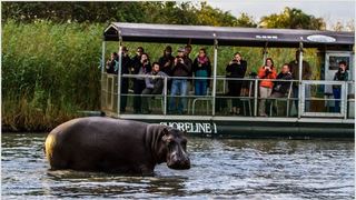 2 Night St Lucia Safari Package | St Lucia Accommodation