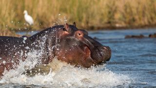 3 Night St Lucia Safari Package | St Lucia Accommodation