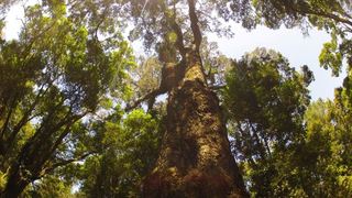 2 Nights at Knysna Lakes Section Garden Route National Park SANParks | Wilderness Accommodation