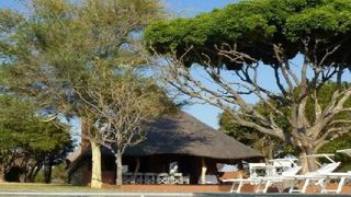 Zebras Crossing | Accommodation Modimolle (Nylstroom)
