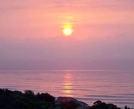 Dolphin & Whale Africa Villa