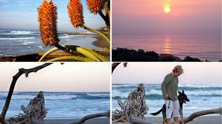 Dolphin & Whale Africa Villa | Hibiscus Coast Specials