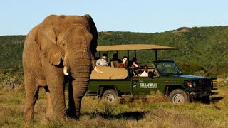 2 Night Shamwari Safari Package | Shamwari Game Reserve Accommodation