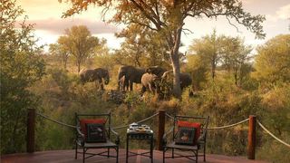 2 Night Hoyo Hoyo Safari Package | South Kruger Park Accommodation