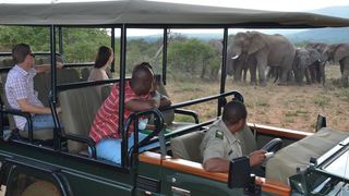 2 Night Kwafubesi Safari Package | Mabula Private Game Reserve Accommodation