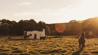Hermitage Huisies | Swellendam Self-catering
