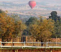 Altyd Welkom | Self-catering Protea Ridge
