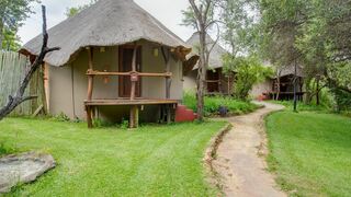 Warthogs Bush Camp | Magaliesburg Accommodation