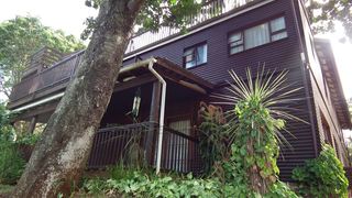 Tree House Lodge | Leisure Bay Specials
