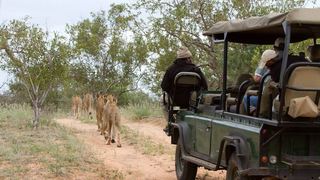 4 Nights, 2 Luxury Lodges in Balule Nature Reserve | Accommodation Balule Nature Reserve