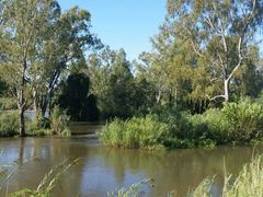 New Beginnings | Parys Accommodation