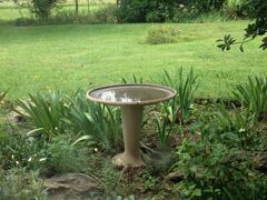 Amelee B&B | Volksrust Accommodation