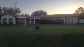 The Lighthouse Guesthouse | Hotels Flamingo Park