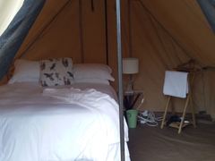3 Kruger Park Tour | Accommodation Andover Nature Reserve