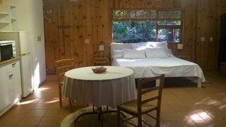 The Tree House Self-Catering Apartment | Self-catering Groenvlei (Sedgefield)