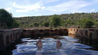 Evergreen River Guest Farm, Groot Marico | Central Region NW Specials