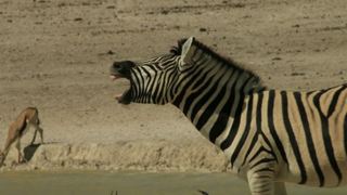 15 Night Namibian Tour | Accommodation Upington