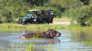 Journey Through Kruger Safari | South Kruger Park Accommodation