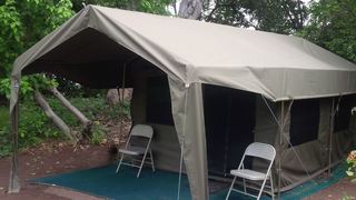 Bush Baby Calls | Maun Accommodation