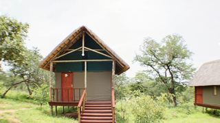 Lion Roars Lodge | Kasane Accommodation
