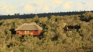 Horseshoe Game Reserve | Macleantown Accommodation