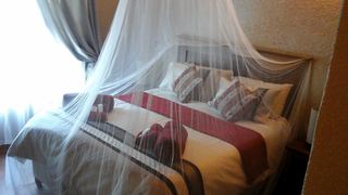 Lalapanzi | Marloth Park Self-catering