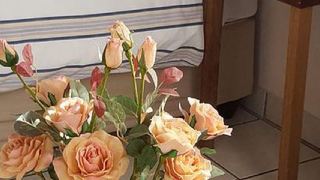 Harmony on Protea | West Acres Accommodation